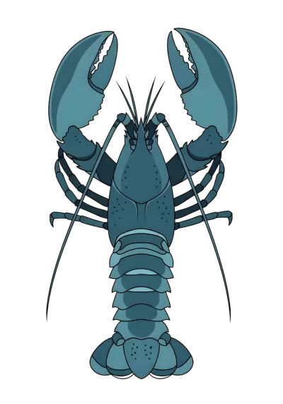 Imagen PNG para descargar